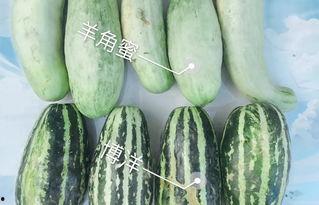 我的网红餐厅手游下载 